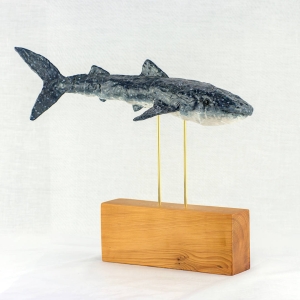 Whale Shark
