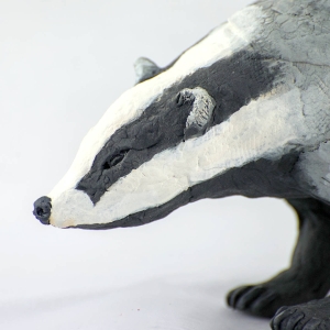 Badger