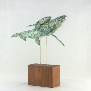 Humpback Whales