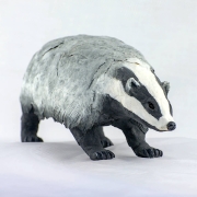Badger