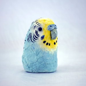 Blue Budgie