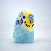 Blue Budgie