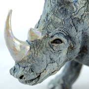 Rhino